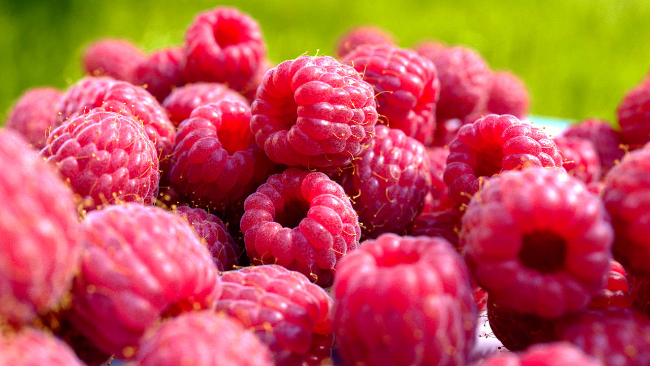 Portfolio Food Essen Himbeeren Hair Dynamics VDB Render