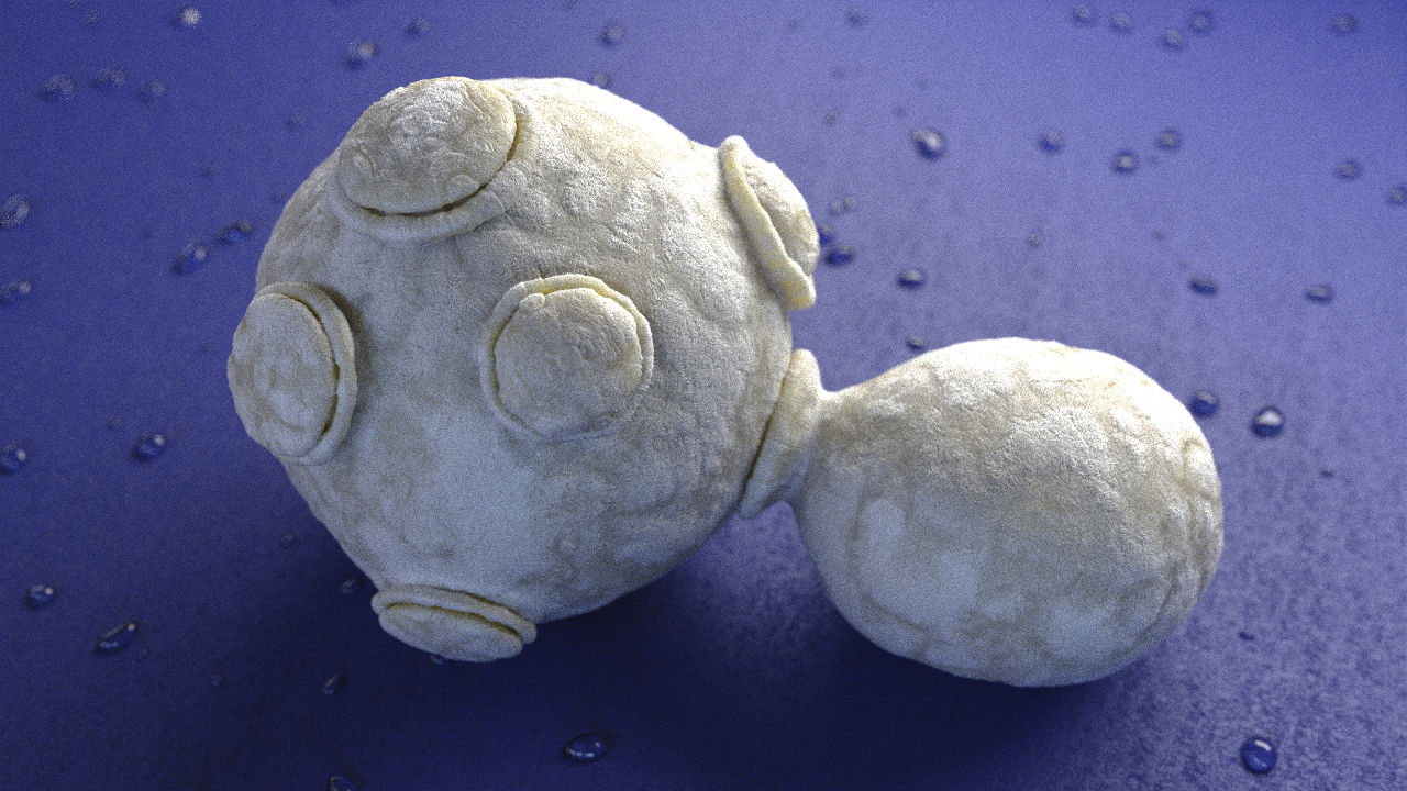 Medical Hefezellen Displacement Wassertropfen