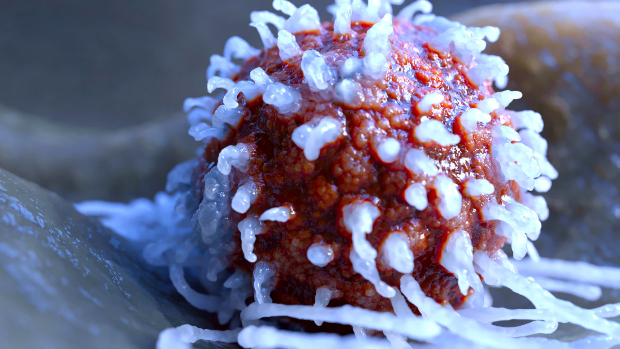 Medical Leukozyte Medizinische Visualisierung Hairdynamics Displacement Volumenshader