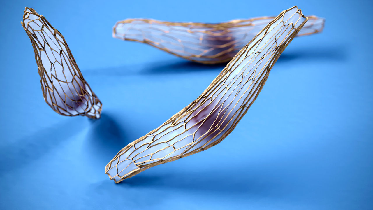 Medical Orchideensamen Translucent Material 3d Rendering Voronoi