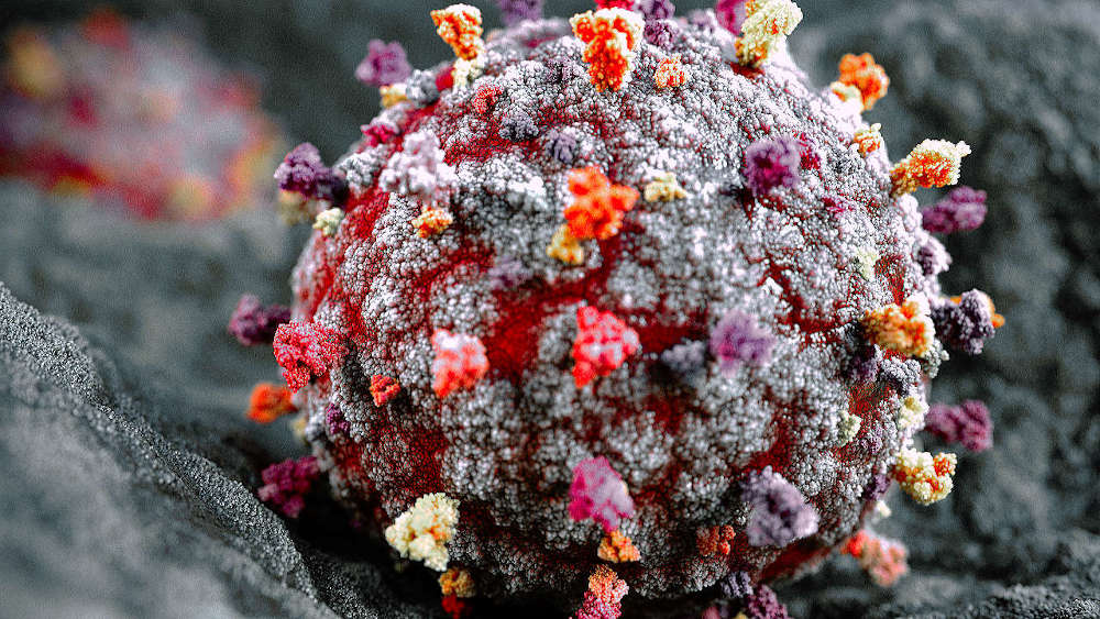 Corona Covid 19 Visualisierung RCSB PDB Datenbank Mograph VDB Displacement Volumenshader